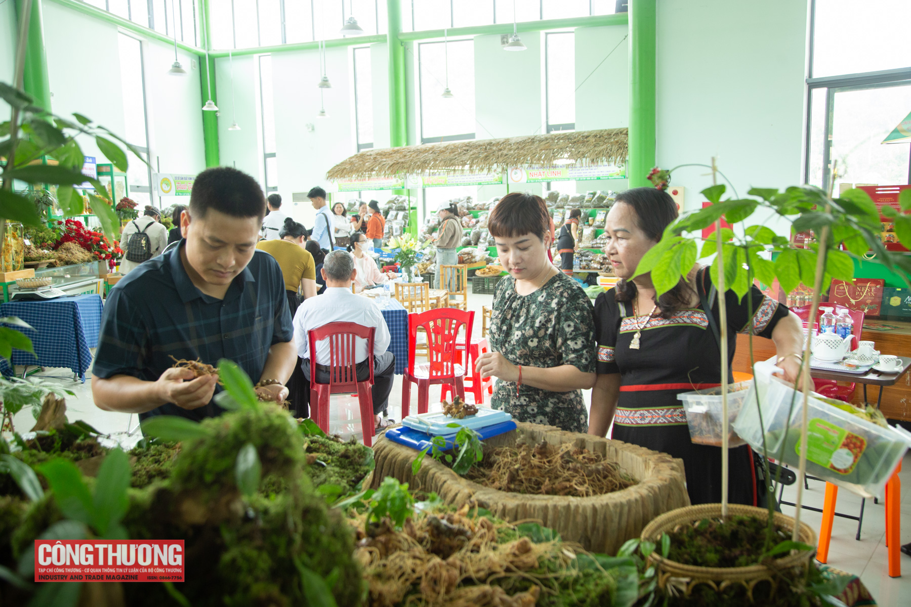 sôi nôi phiên chợ sâm Ngọc Linh