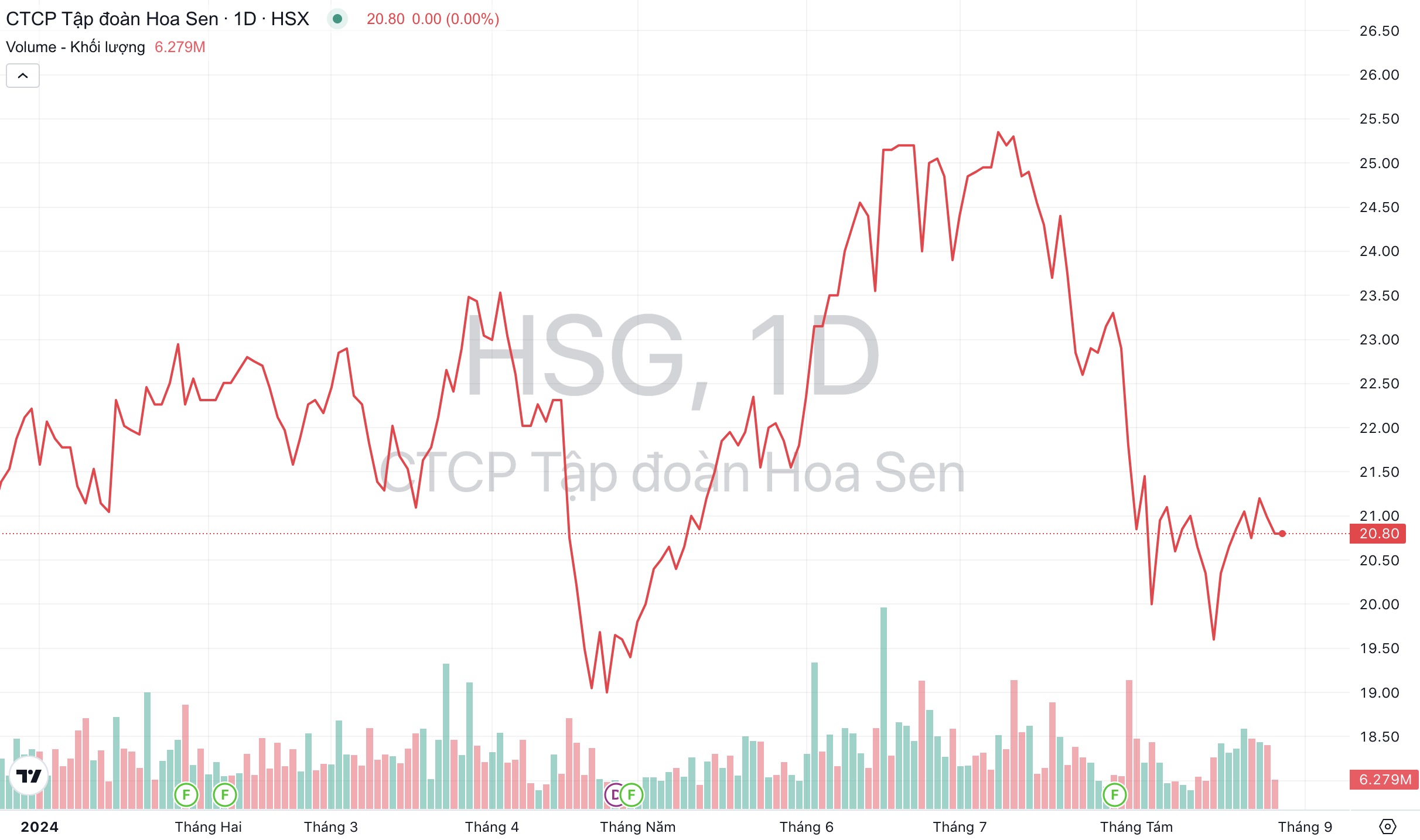 Giá cổ phiếu HSG Tập đoàn Hoa Sen