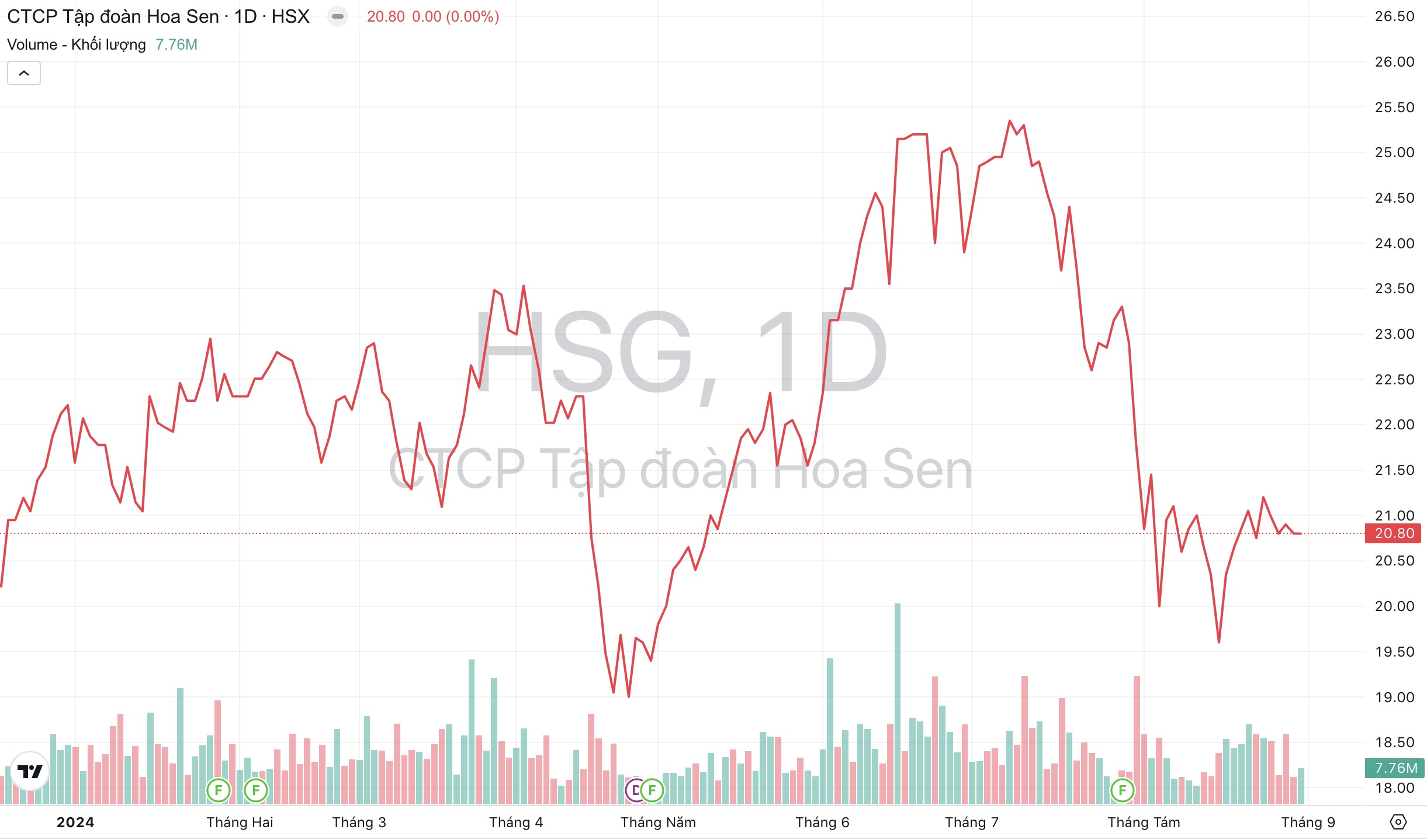 Giá cổ phiếu HSG Tập đoàn Hoa Sen