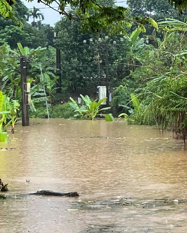 ngừng cấp điện