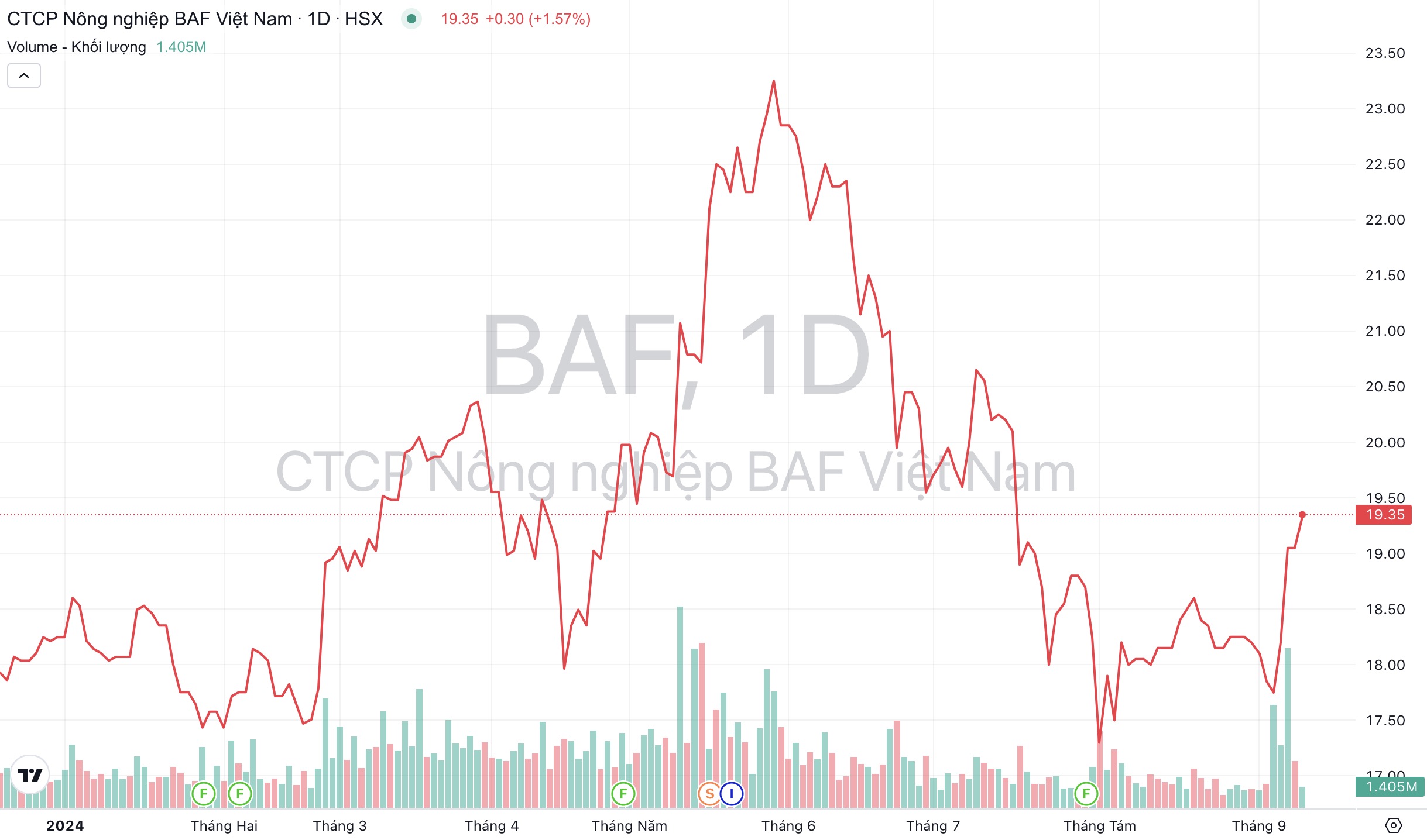 Giá cổ phiếu BAF Việt Nam