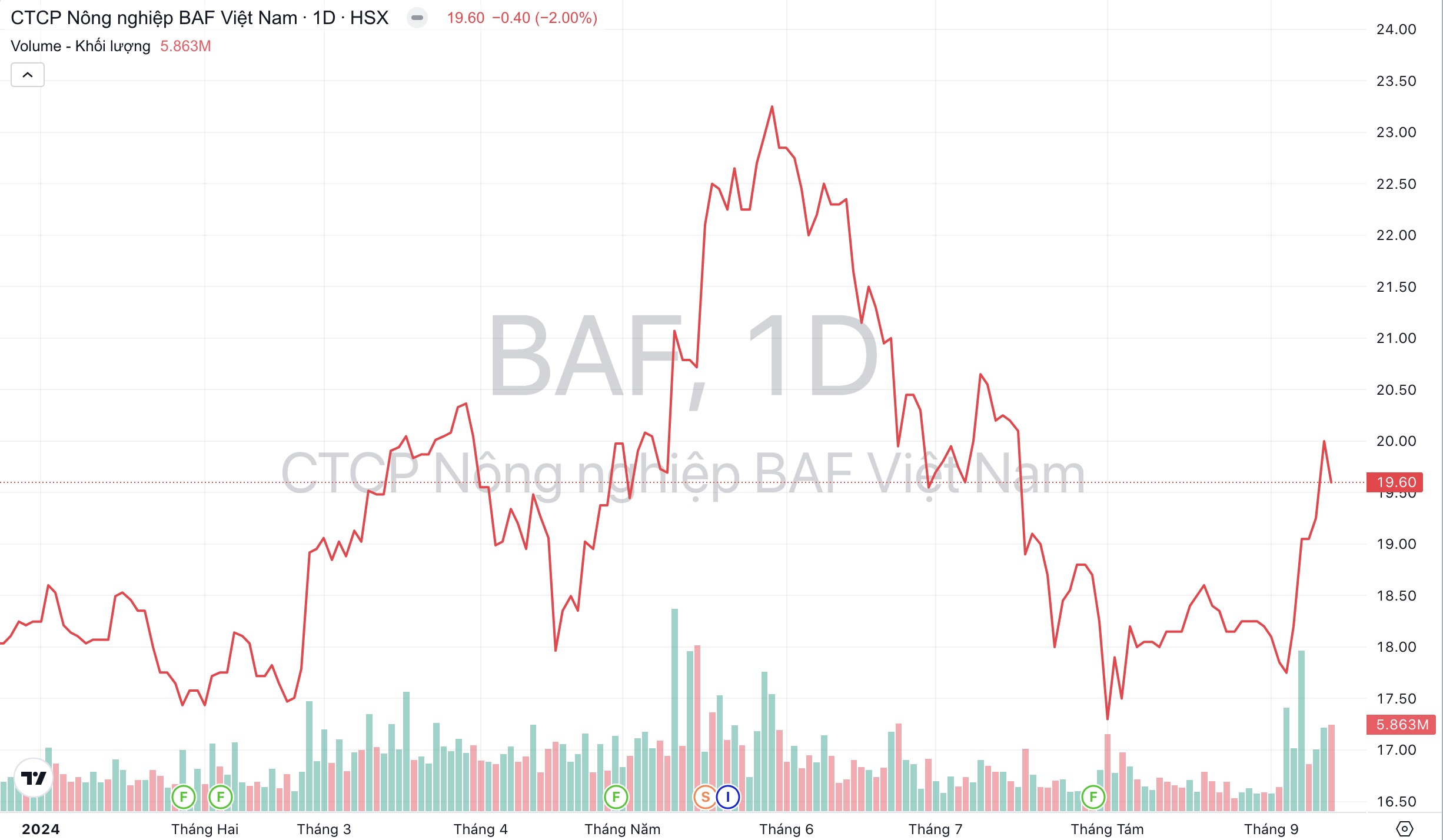 Giá cổ phiếu BaF BaF Việt Nam