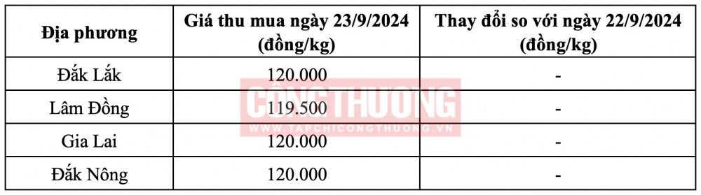 Giá cà phê hôm nay Tạp chí Công Thương