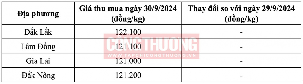 Giá cà phê hôm nay Tạp chí Công Thương