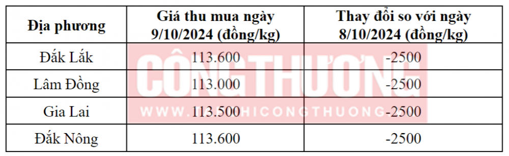 Tham khảo giá cà phê hôm nay ngày 9/10/2024 tại khu vực Tây Nguyên