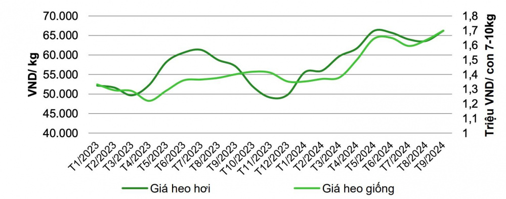 Giá heo hơi