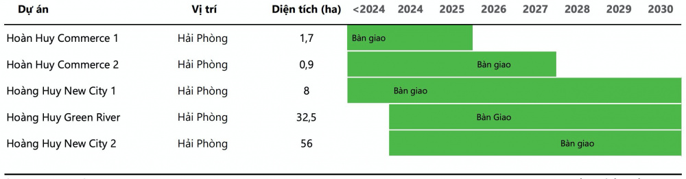 Dự án Tài chính Hoàng Huy