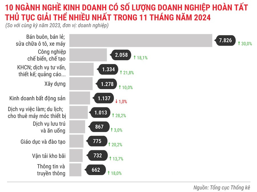 10-nganh-nghe-kinh-doanh-co-so-luong-dn-hoan-tat-thu-tuc-giai-the-nhieu-nhat-trong-11-thang-dau-nam-2024.jpg