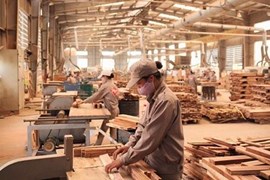 DOC sẽ khảo sát thực tế tại một số doanh nghiệp gỗ Việt Nam