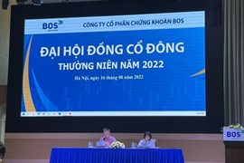 Chứng khoán BOS tiếp tục có biến động lãnh đạo cấp cao