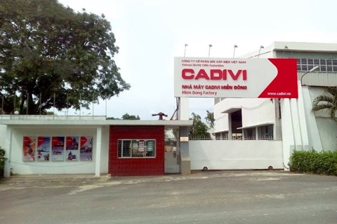 Muốn "ôm nốt" 4% cổ phần Cadivi, Gelex phải chào mua công khai