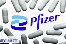 Các nước nghèo sẽ nhận được thuốc “phi lợi nhuận” của Pfizer