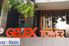 Gelex lùi thời gian chi trả 426 tỷ đồng cổ tức sang tháng 7/2022
