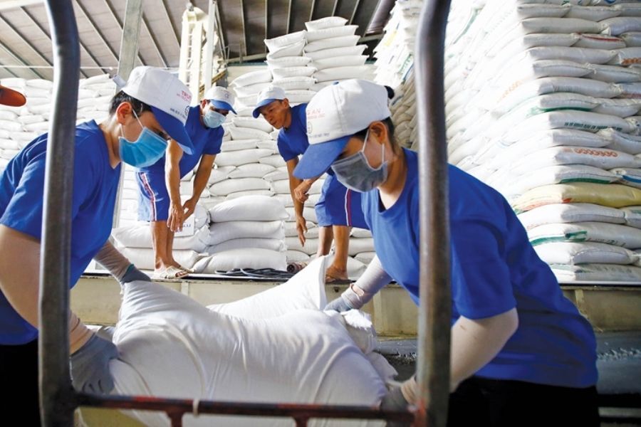 Ấn Độ áp thuế và cấm xuất khẩu một số loại gạo, doanh nghiệp Việt cần làm gì? 2