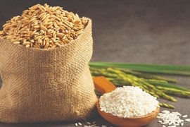 Giá gạo Việt Nam có xu hướng tăng