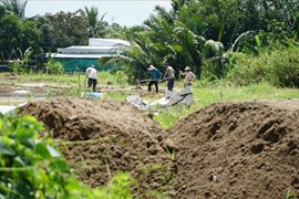 Cần Thơ: Xử lý triệt để tình trạng xây dựng trái phép trên đất nông nghiệp