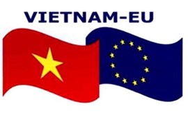 Quan hệ kinh tế, thương mại trở thành điểm sáng trong bức tranh hợp tác song phương Việt Nam - EU