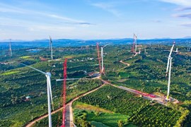 Trungnam Group: Dự án chống ngập 1.000 tỷ ở TP.HCM sau 7 năm vẫn “phơi nắng”, điện gió Đắk Lắk lỗ gần 1.300 tỷ đồng