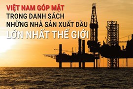 Việt Nam góp mặt trong danh sách những nhà sản xuất dầu lớn nhất thế giới