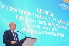 “Hợp tác kinh tế, thương mại giữa Việt Nam và Vân Nam còn chưa xứng”