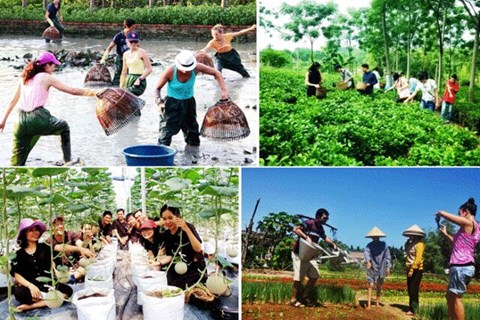 Đưa du lịch nông nghiệp, nông thôn trở thành xu hướng mới