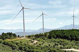 Chiếm đất nông nghiệp một doanh nghiệp điện gió bị phạt 225 triệu đồng