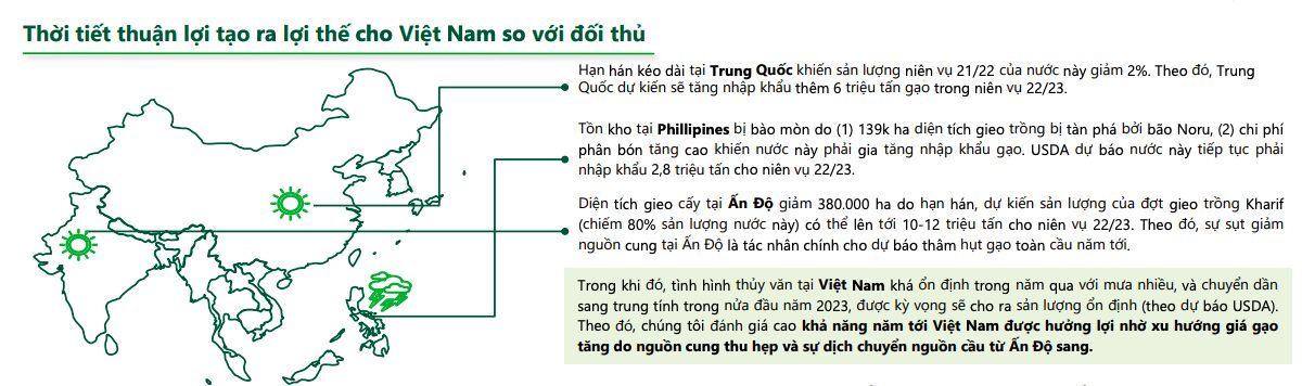 lúa gạo việt nam đang gặp thiên thời địa lợi