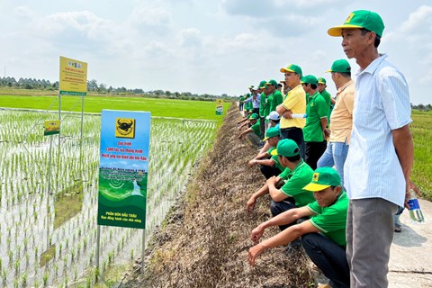 Thúc đẩy các sáng kiến sản xuất nông nghiệp thông minh, ứng phó biến đổi khí hậu