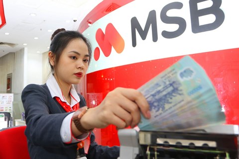 MSB muốn sáp nhập thêm một ngân hàng, đặt kế hoạch lợi nhuận 6.300 tỷ đồng