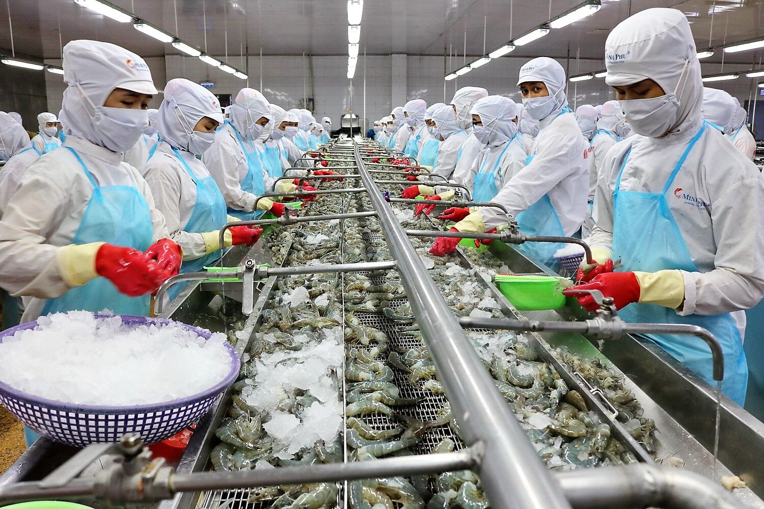 Thủy sản Minh Phú đặt mục tiêu lãi hơn 1.000 tỷ đồng trong năm 2023