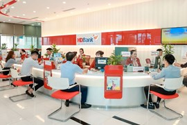 HDBank dự kiến chia cổ tức với tỷ lệ 10% bằng tiền mặt và tỷ lệ tối đa 15% bằng cổ phiếu