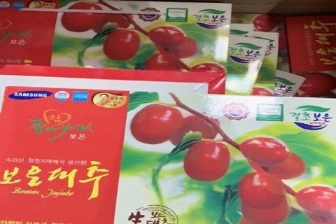 Hải Phòng khởi tố vụ án giả mạo táo đỏ Hàn Quốc