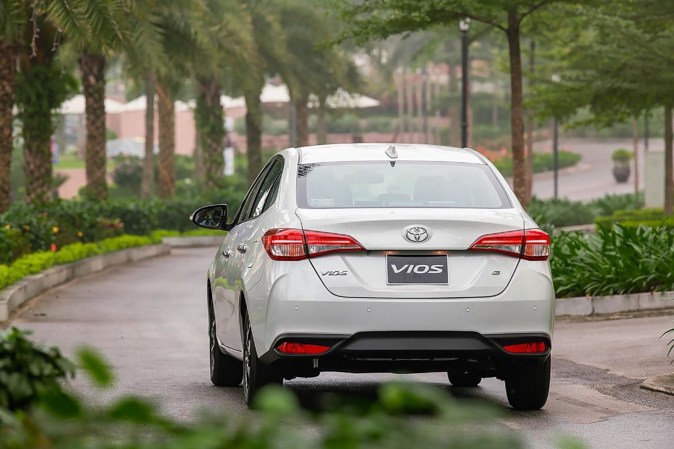 vios-2023-6-2084-1683689750.jpg