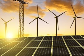 Trước 20/5, EVN phải đàm phán với chủ đầu tư dự án năng lượng tái tạo về giá điện tạm thời