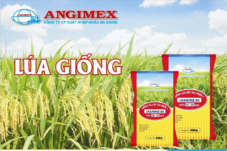 Xuất nhập khẩu An Giang