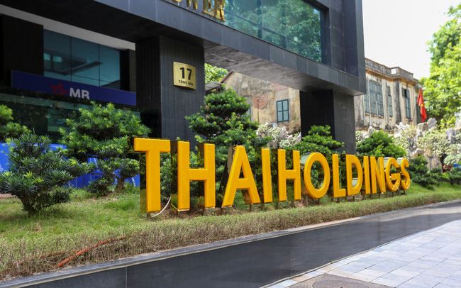 công ty ThaiHoldings
