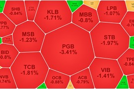 Thị trường chứng khoán đỏ lửa sau tin Ngân hàng Nhà nước giảm lãi suất