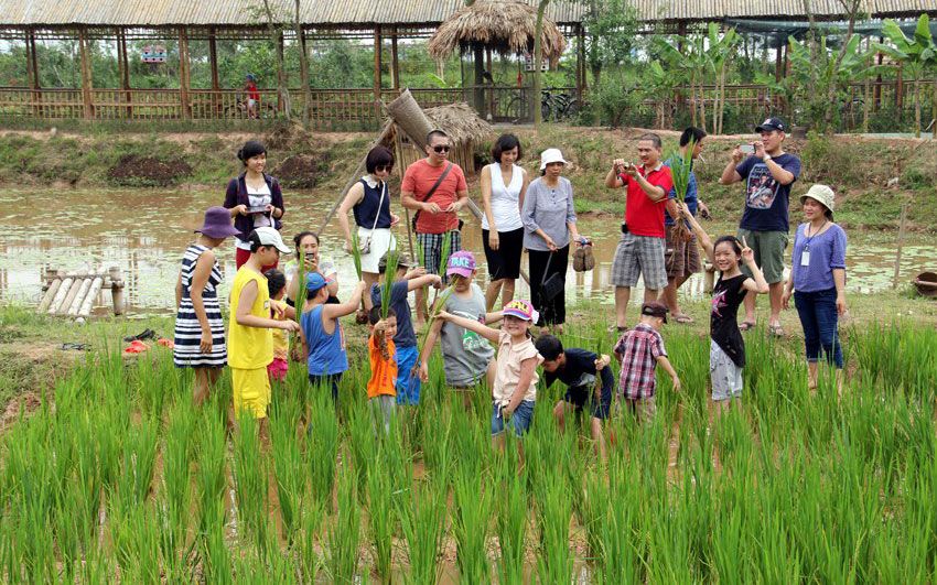 huong-di-nao-de-mo-khoa-du-lich-nong-thon-phat-trien-ben-vung.jpg