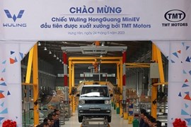 Ô tô điện “kéo” cổ phiếu TMT tăng trần