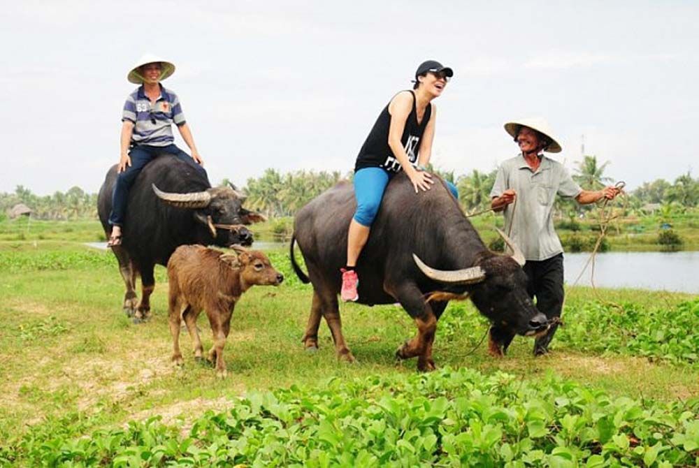 luat-kinh-doanh-bat-dong-san-2014-con-boc-lo-khoang-trong-o-loai-hinh-du-lich-nong-nghiep--n1.jpg