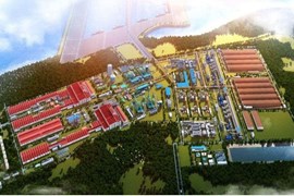 Bình Định mong Thủ tướng chấp thuận chủ trương và nhà đầu tư dự án cảng chuyên dụng tại gang thép Long Sơn