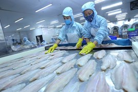 Thị hiếu khách hàng thay đổi, xuất khẩu cá khô, cá hộp của Việt Nam tăng trưởng ấn tượng