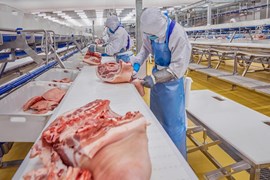 Ngành sản xuất thịt: Khó khăn nhất đã đi qua nhưng vẫn cần thận trọng