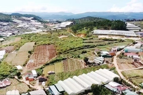 Lâm Đồng lập “tổ công tác đặc biệt” gỡ khó dự án khu dân cư tại Trại Mát, Đà Lạt