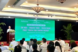 Doanh nghiệp Việt vướng "rào cản xanh" khi thâm nhập thị trường quốc tế