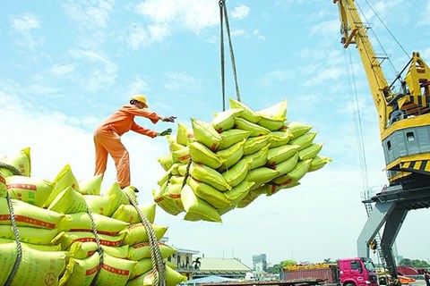 Xuất khẩu nông, thủy sản 5 tháng: Động lực dẫn dắt từ khu vực châu Á
