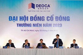 Đèo Cả lên kế hoạch doanh thu 6.700 tỷ đồng, chia cổ tức 80%