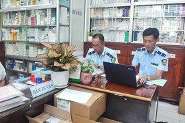 TP. Hồ Chí Minh kiểm tra, phát hiện gần 8.000 sản phẩm thuốc tân dược, thực phẩm chức năng có dấu hiệu giả mạo