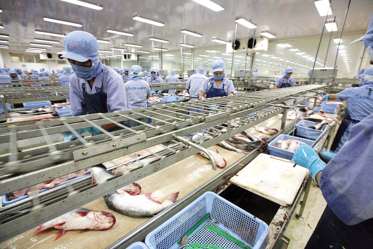 doanh nghiệp thủy sản