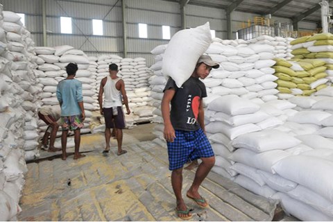 Xuất khẩu gạo Thái Lan tăng mạnh, dự kiến trình làng nhiều giống gạo mới trong năm sau